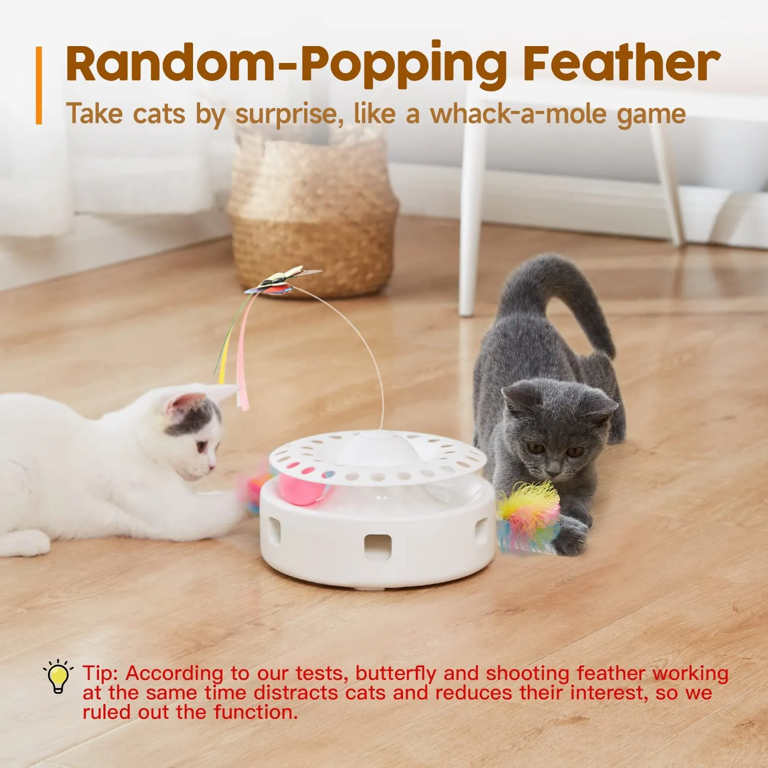 3-in-1 Interactive Cat Toy