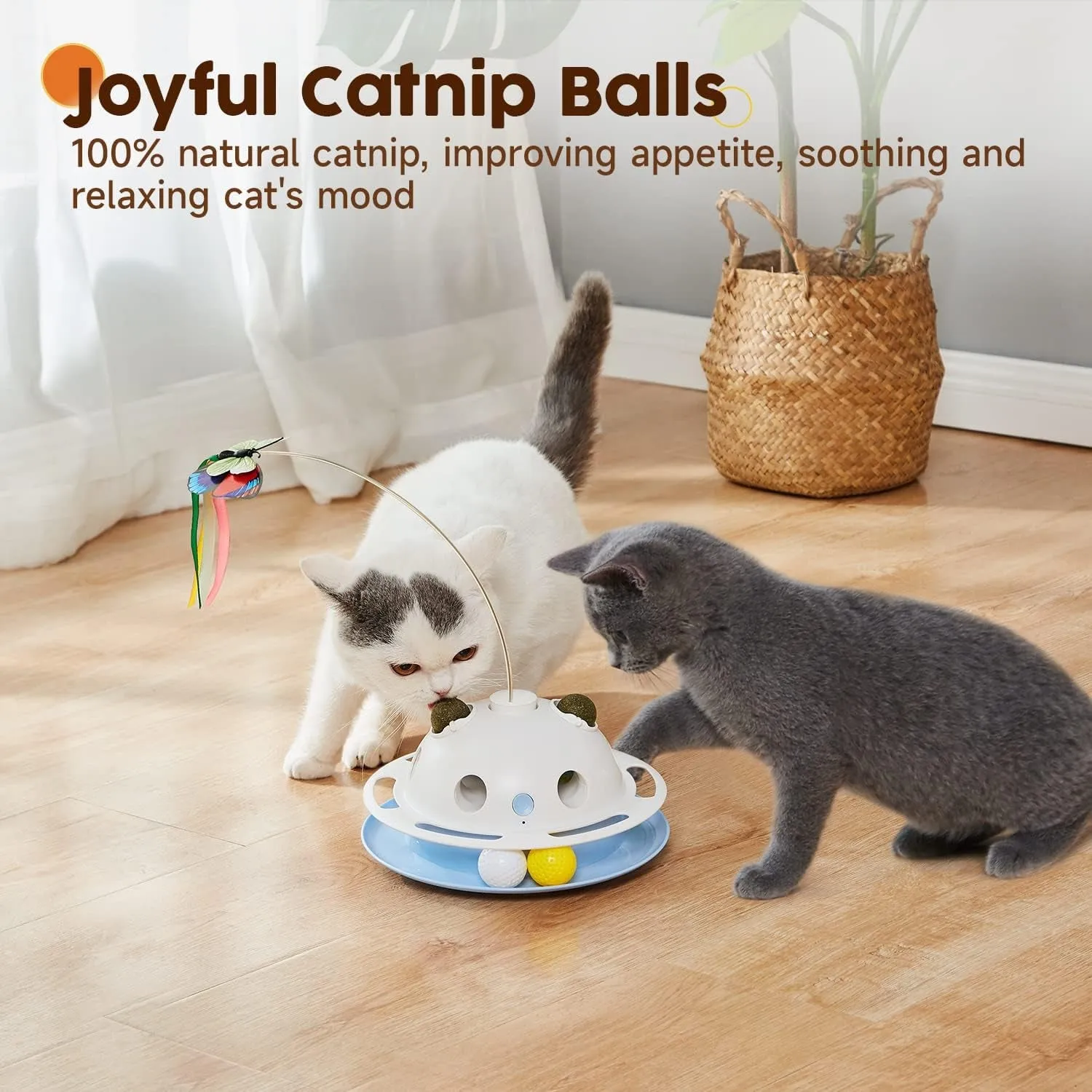 4In1 Cat Toys
