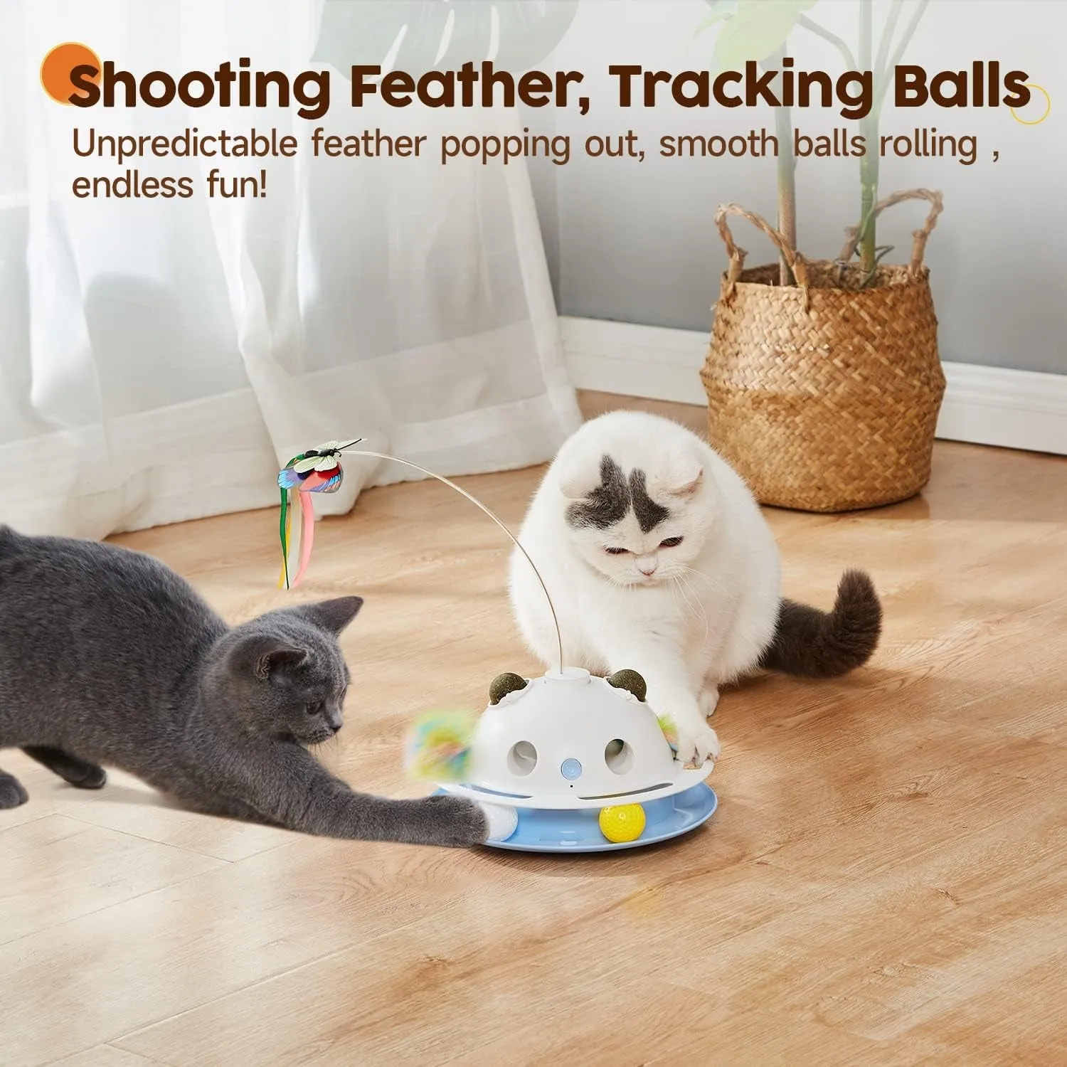 4In1 Cat Toys