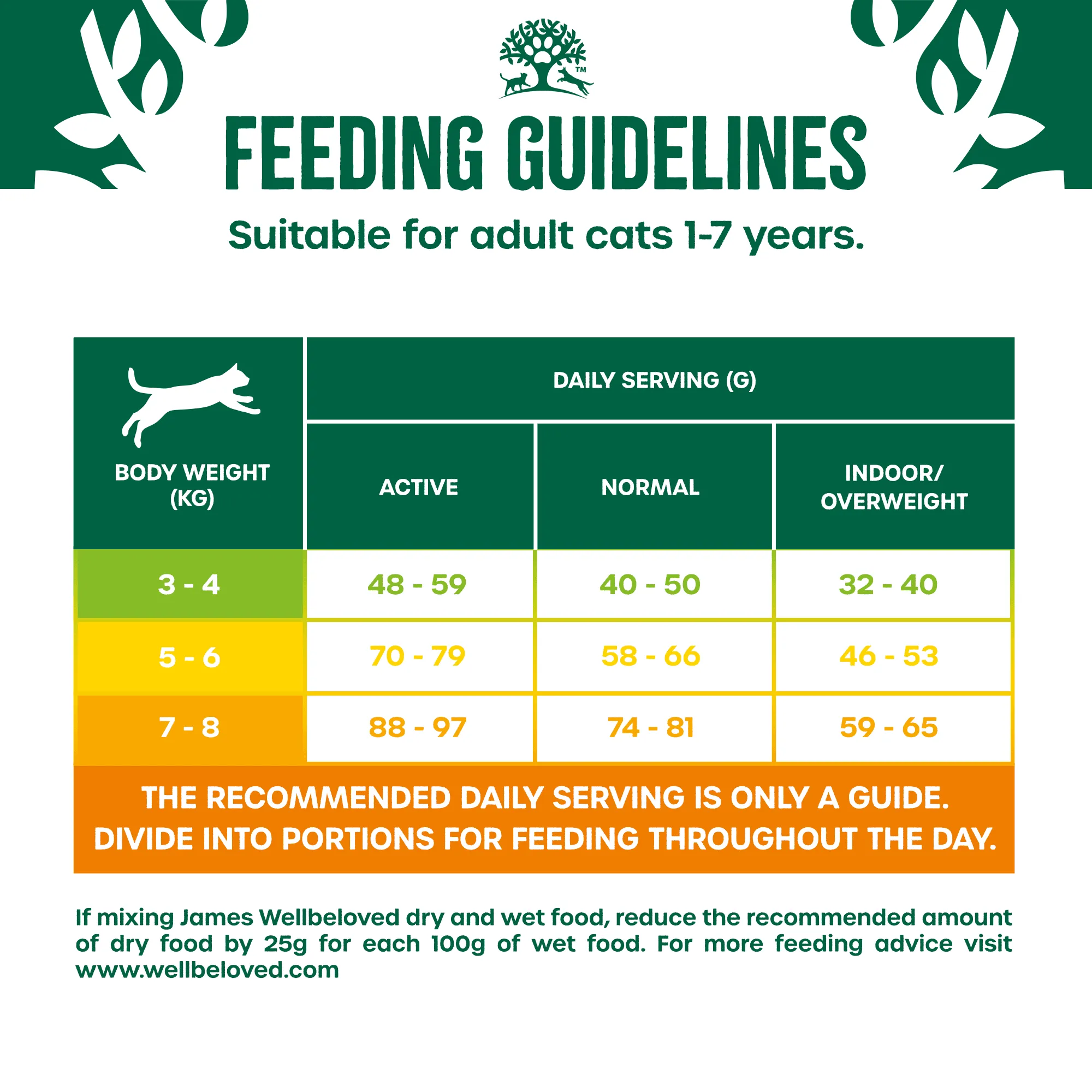 Adult Chicken & Turkey High Protein Dry Cat Food