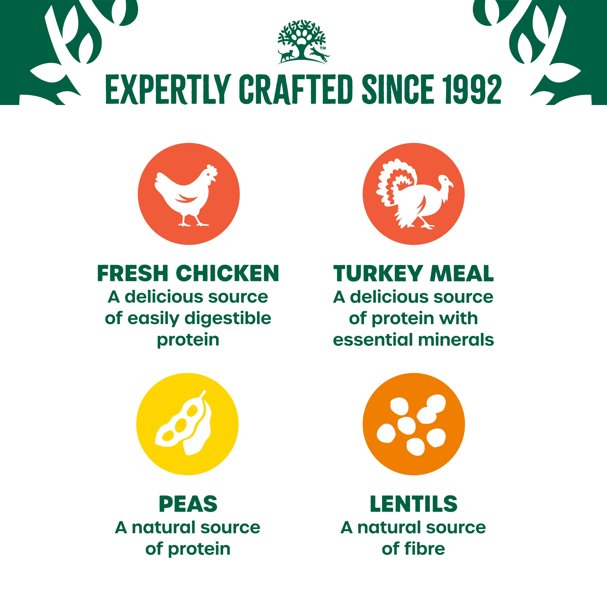 Adult Chicken & Turkey High Protein Dry Cat Food