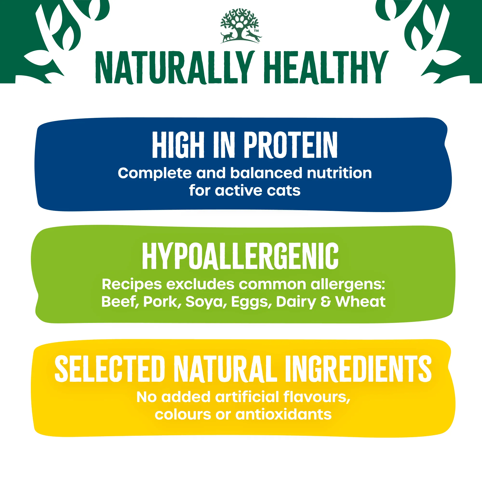 Adult Chicken & Turkey High Protein Dry Cat Food