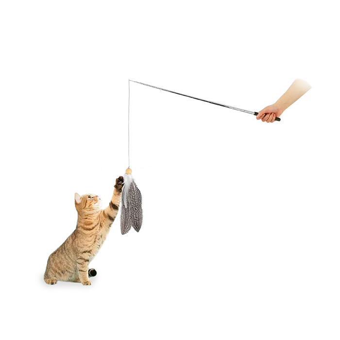 AFP  Swirling Feather Cat Wand - Teaser