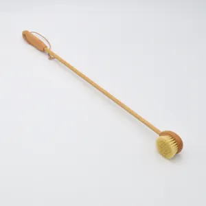 Back Scratcher