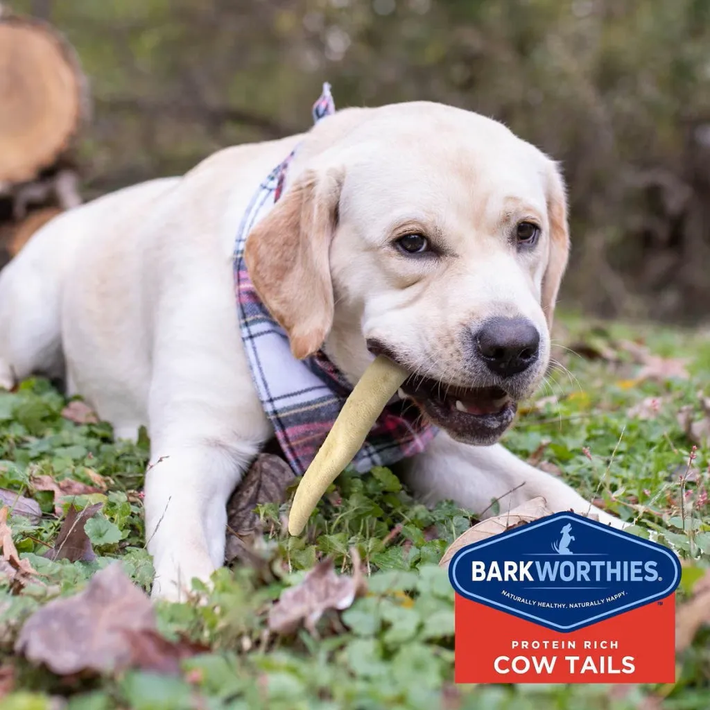 Barkworthies Cow Tails Treats For Dogs (6 oz)