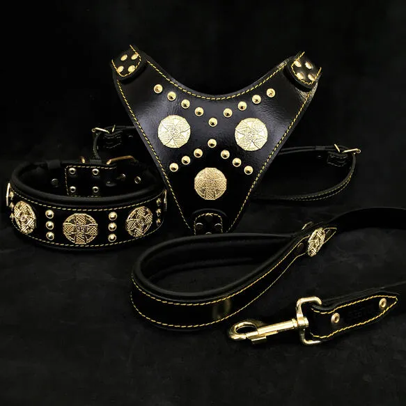 Bestia Maximus Dog Harness Black and Gold