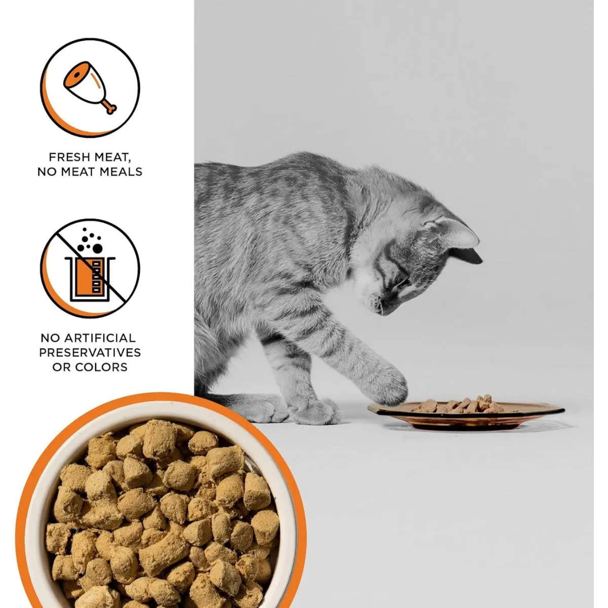 Bixbi Rawbble Freeze-Dried Chicken Raw Cat Food 10oz