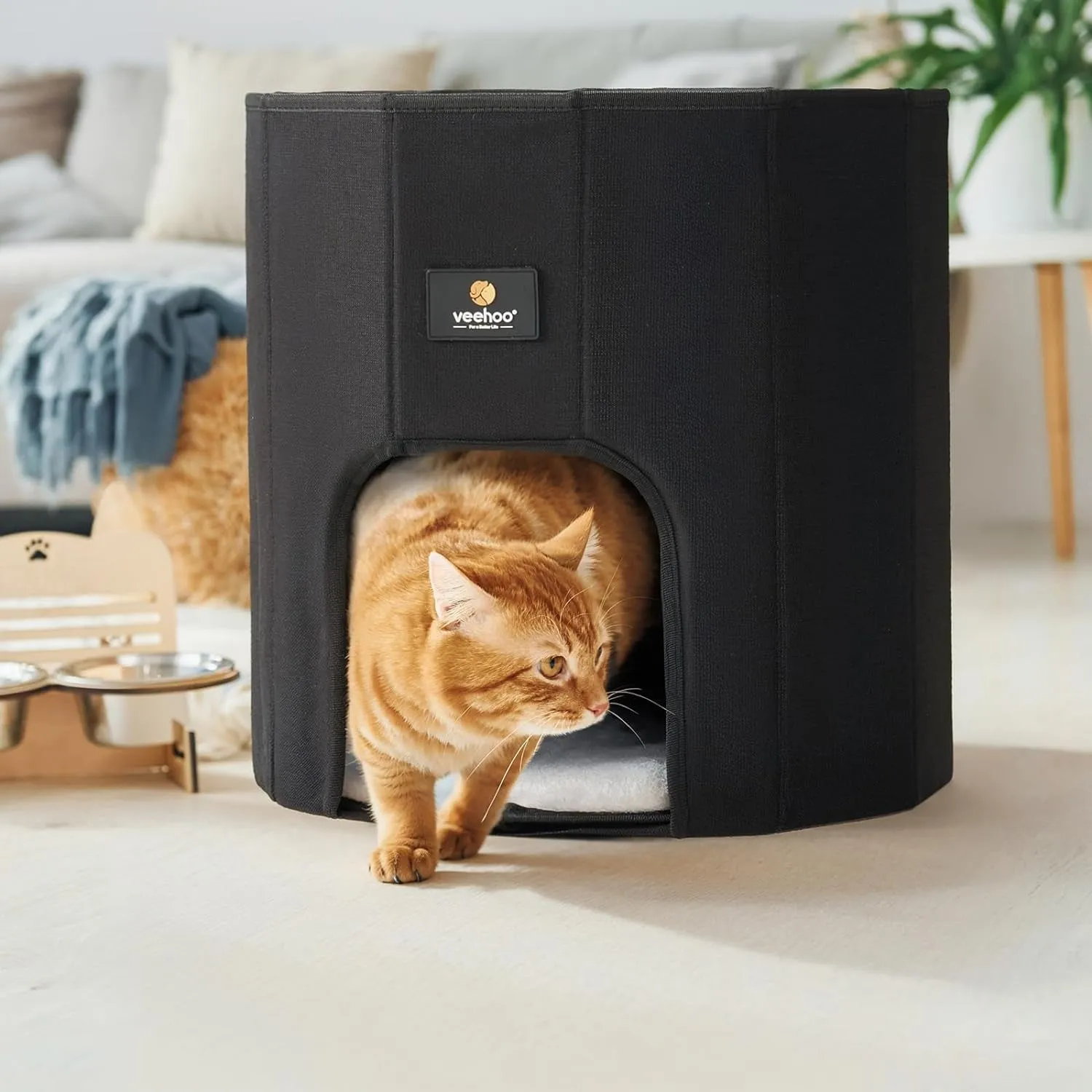 Cat House Indoor Beds