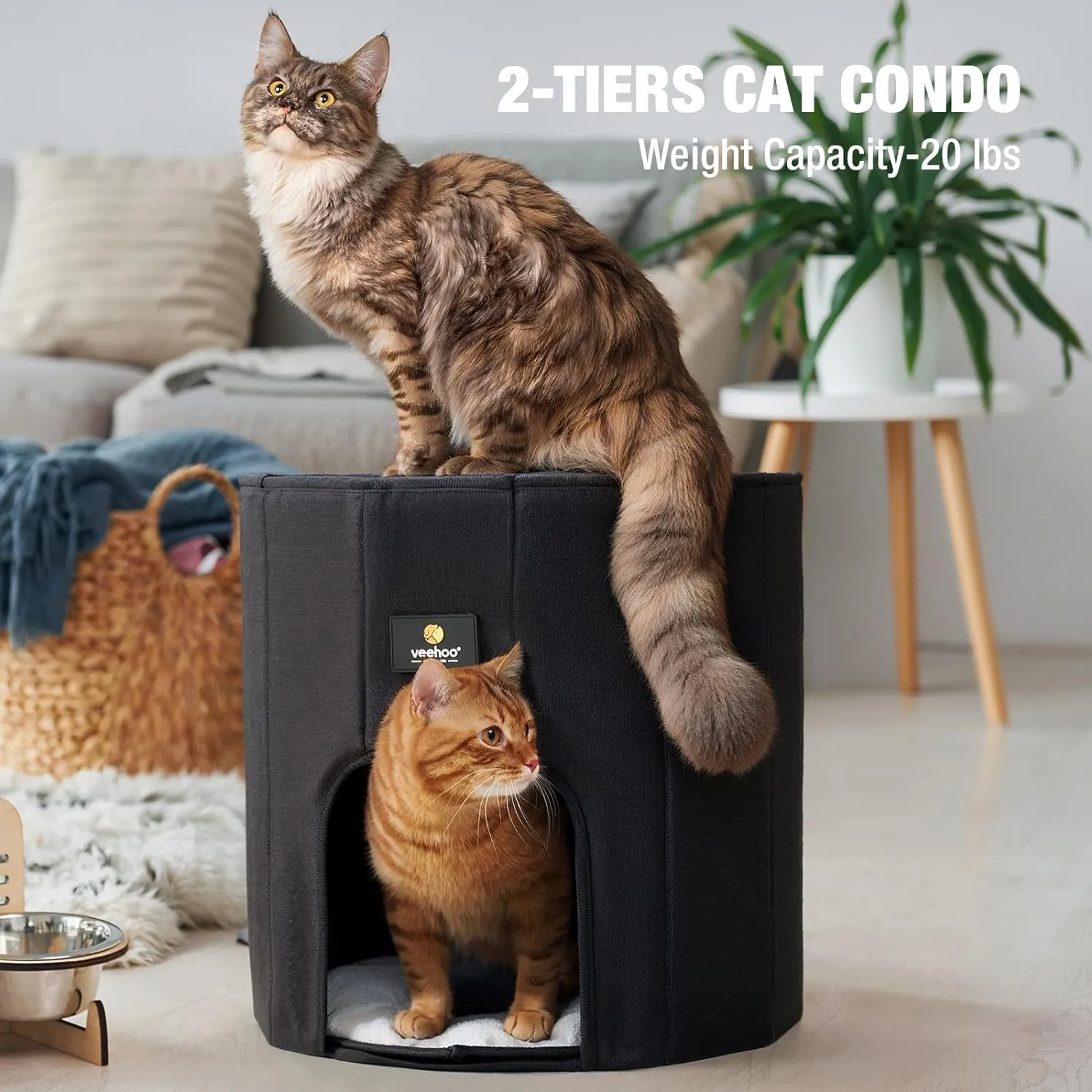 Cat House Indoor Beds