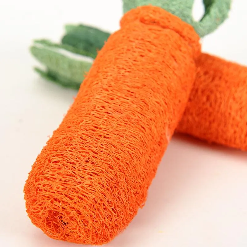 Chew Carrot Shaped Toy
