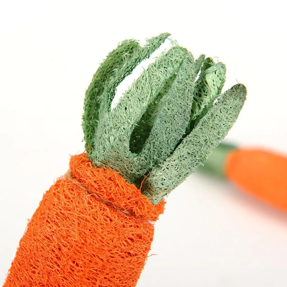 Chew Carrot Shaped Toy