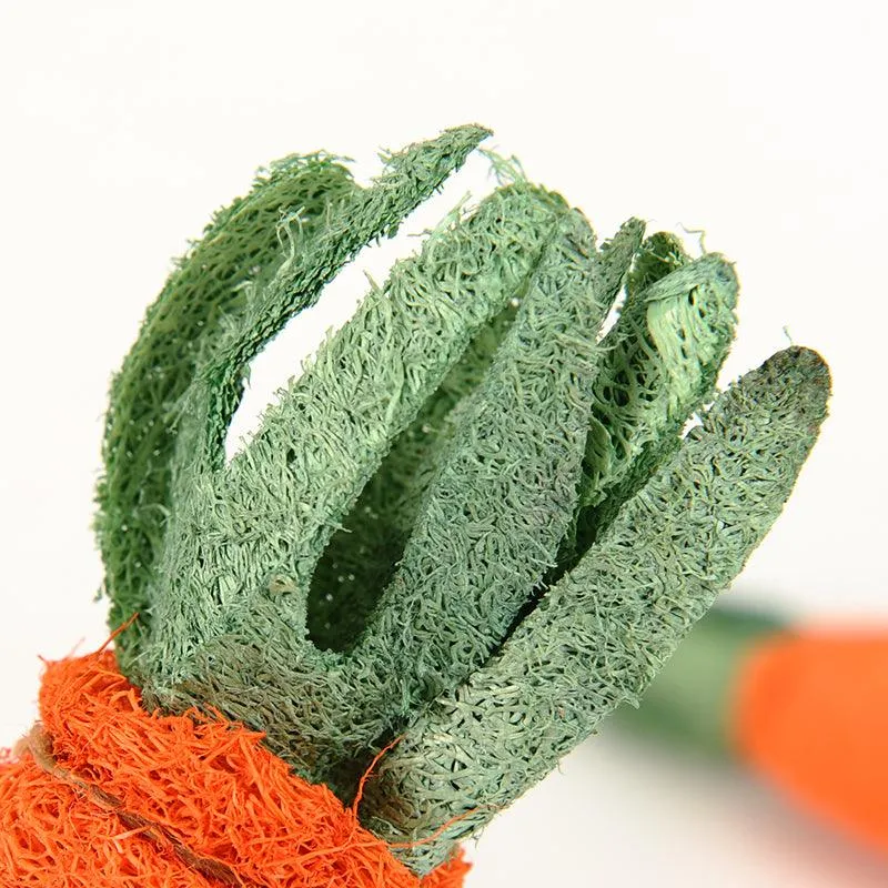 Chew Carrot Shaped Toy