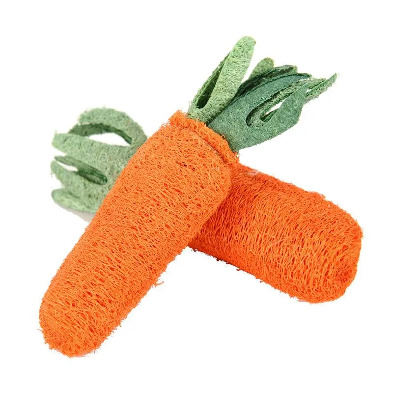 Chew Carrot Shaped Toy