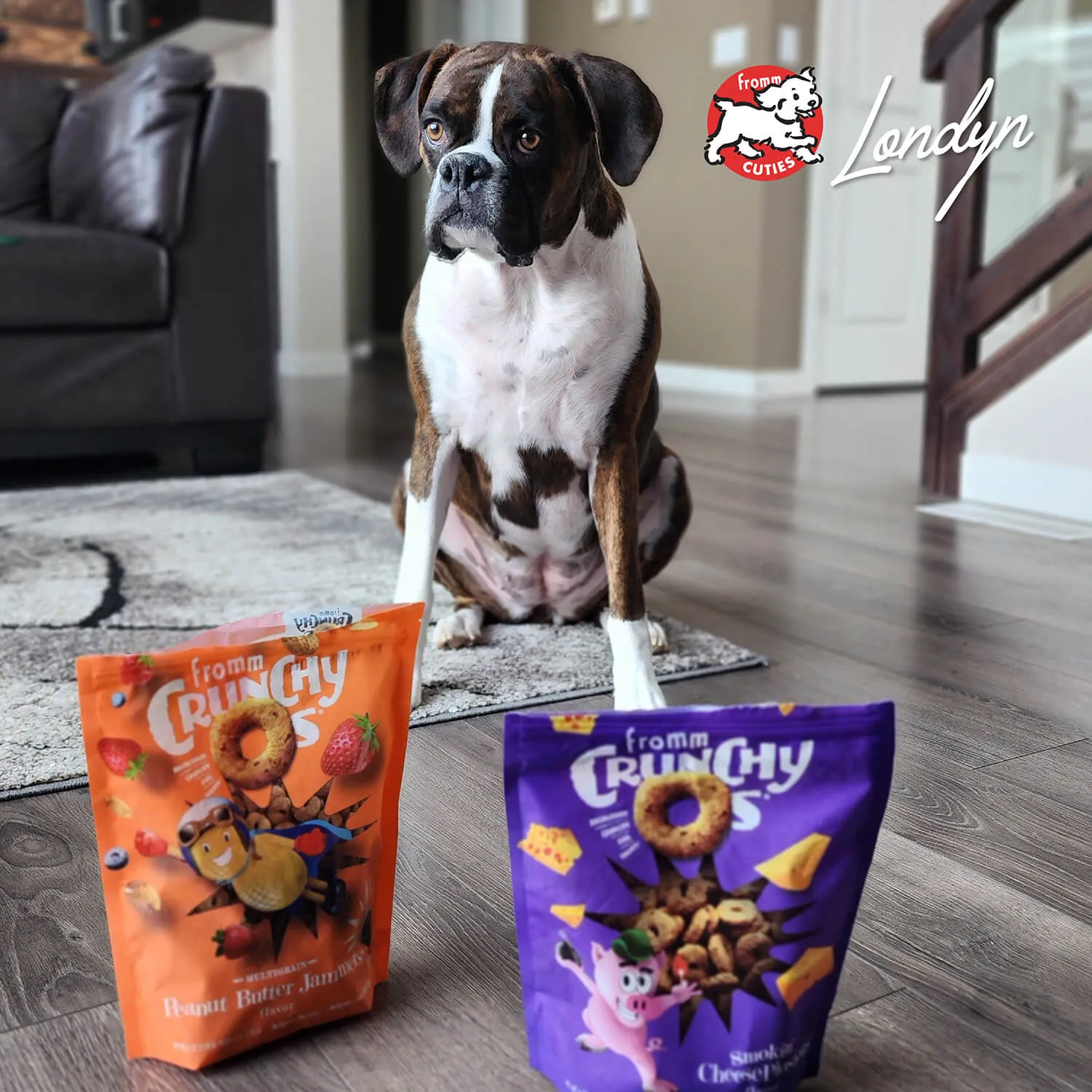 Crunchy O's Banana Kablammas Dog Treats from Fromm