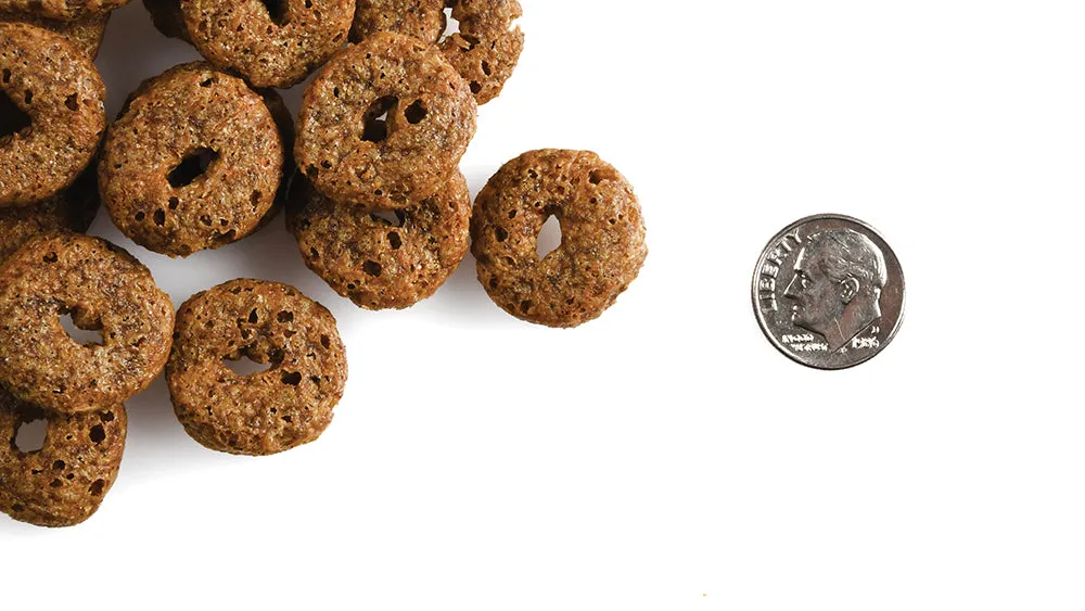 Crunchy O's Blueberry Blast Dog Treats from Fromm