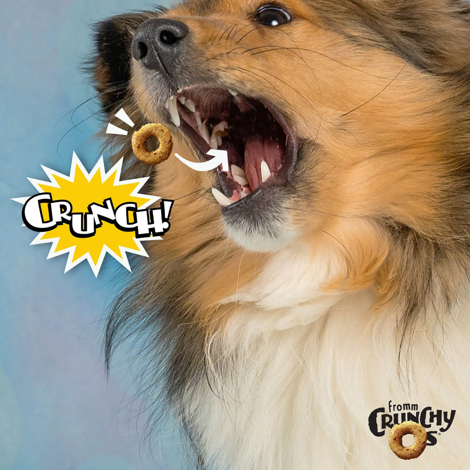Crunchy O's Blueberry Blast Dog Treats from Fromm