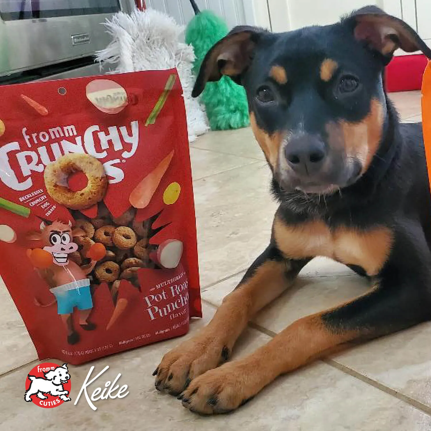 Crunchy O's Pot Roast Punchers Dog Treats from Fromm
