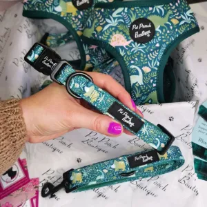Dino Rawr Dog Collar