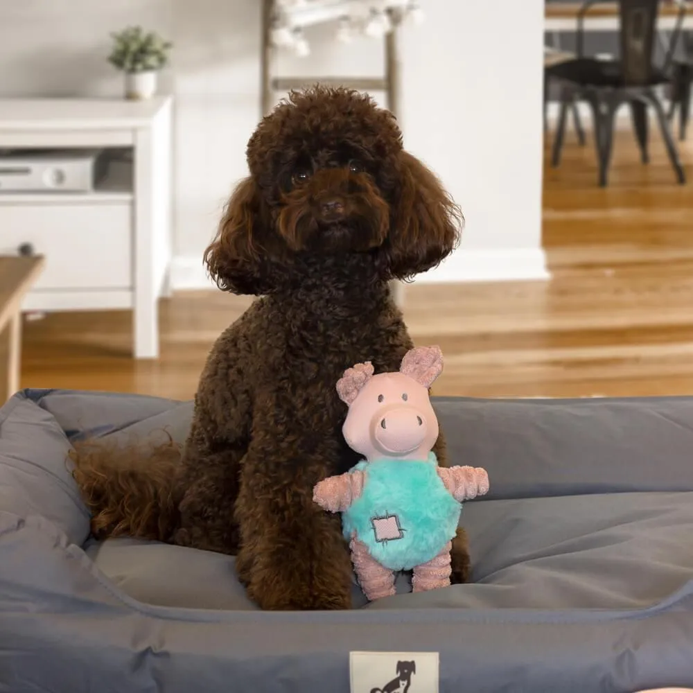 Dog Puppy Gift Set - Rose Pink