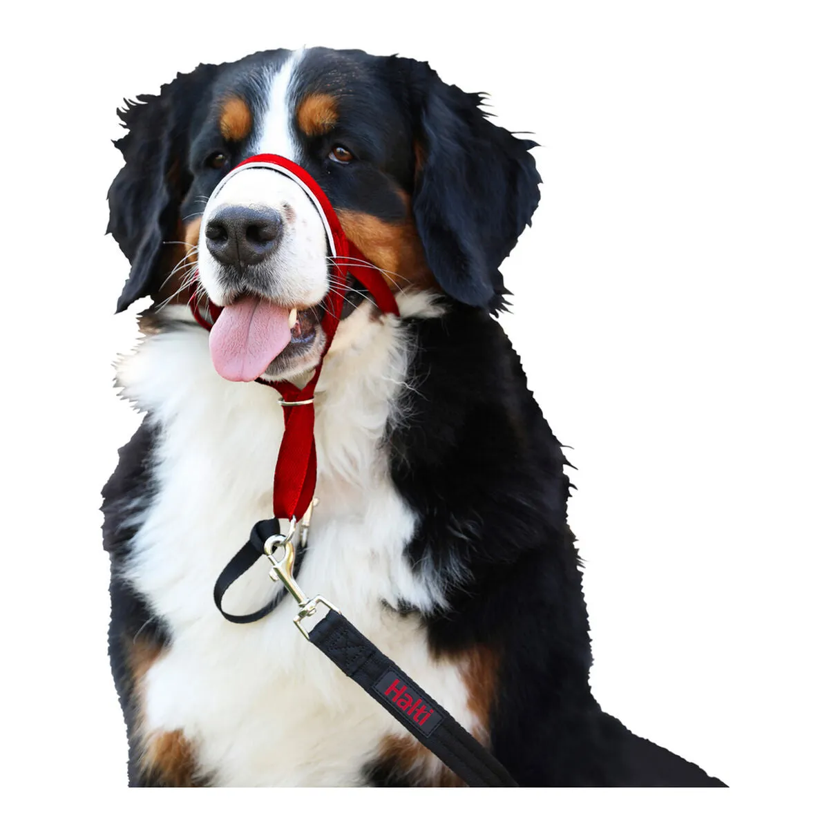Dog Training Collars by Company of Animals Halti Muzzle 4662 Cm