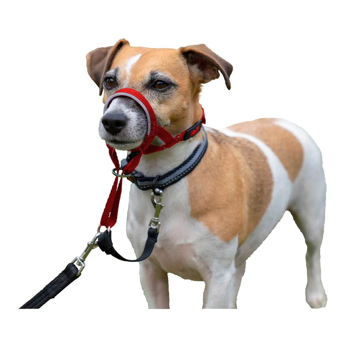 Dog Training Collars by Company of Animals Halti Muzzle 4662 Cm