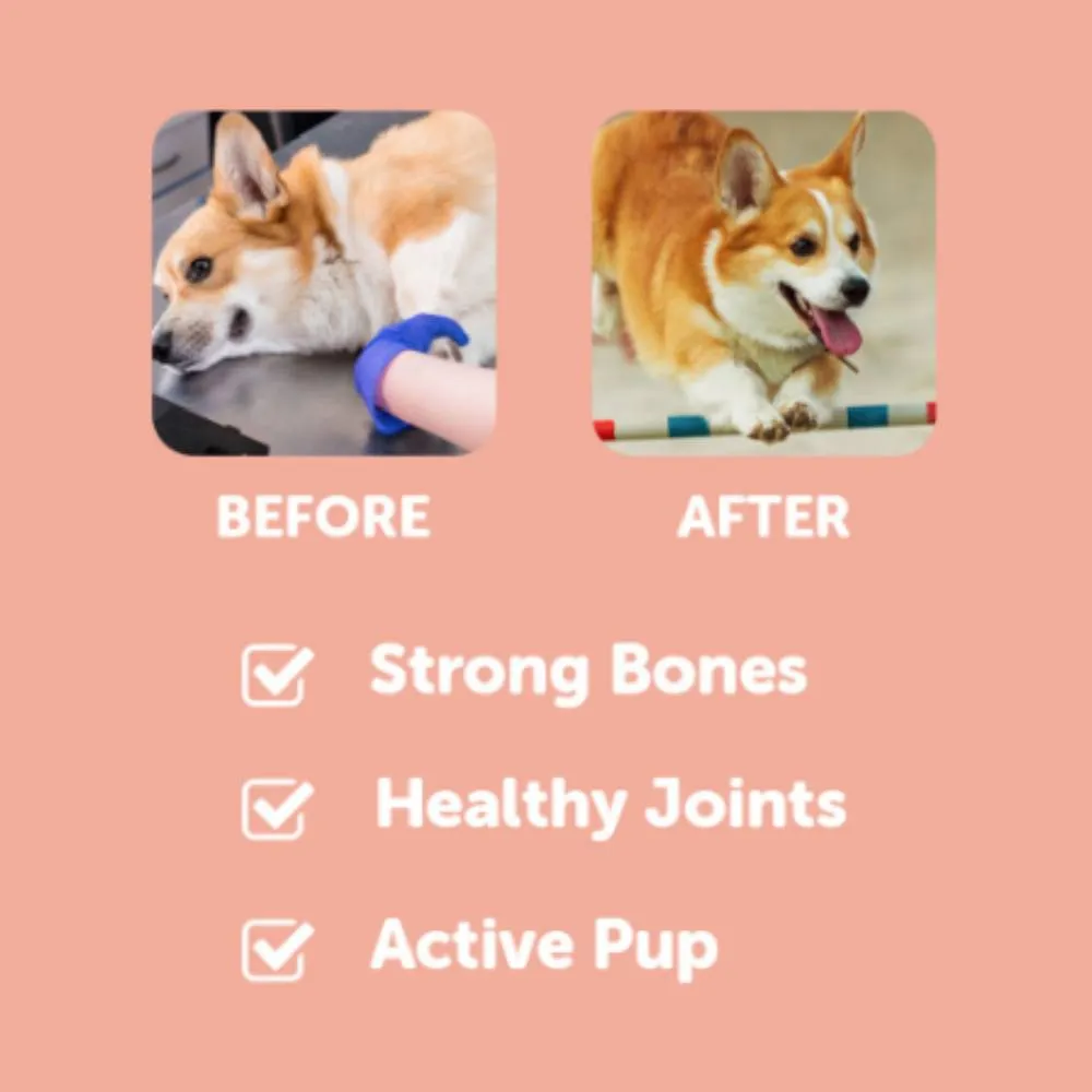 Dr. Shiba Dog Treats Supplement Jolly Joints Duck 250g