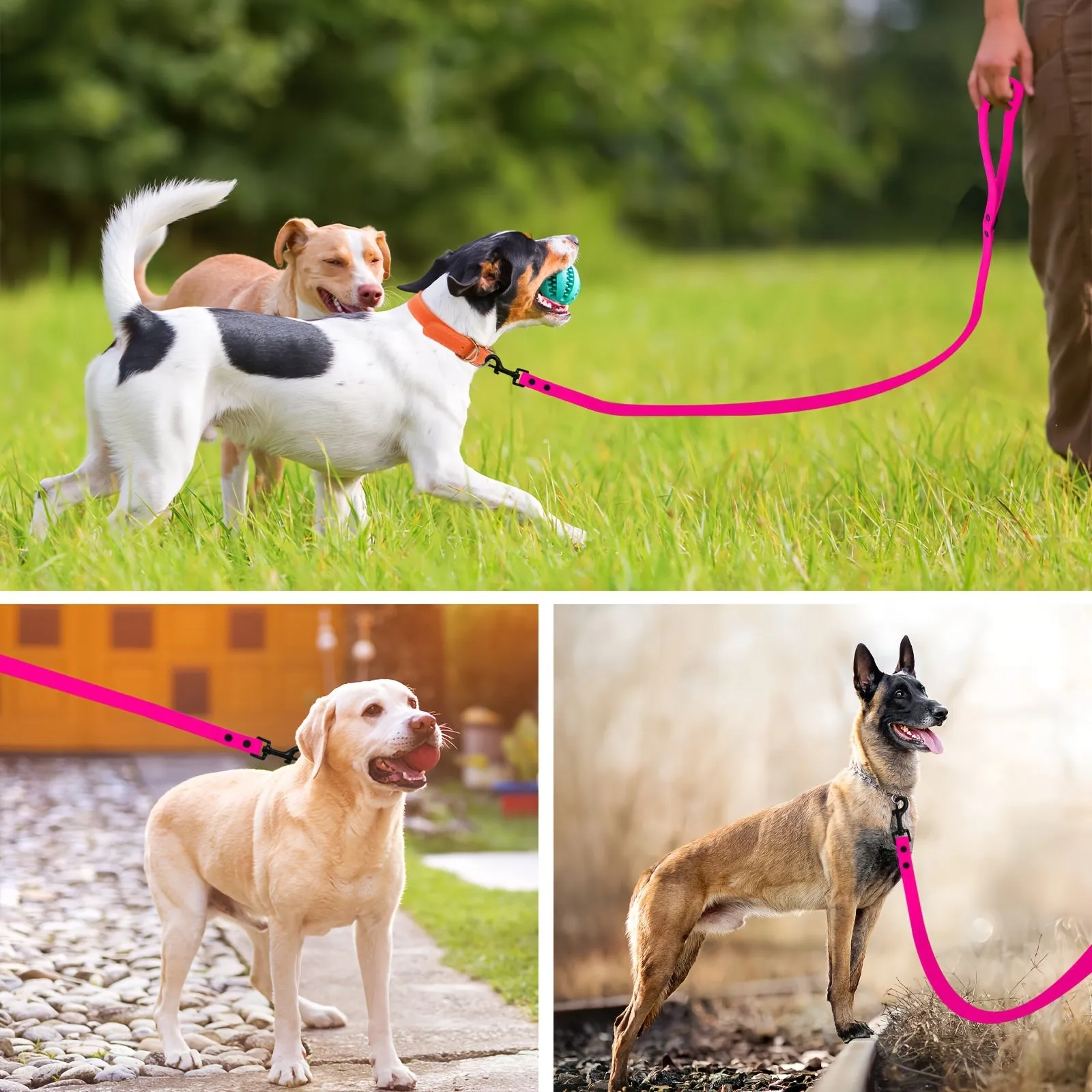 Durable Waterproof PVC Dog Leash - Easy to Clean, Durable Dog Walking Lead for Outdoor Adventures
