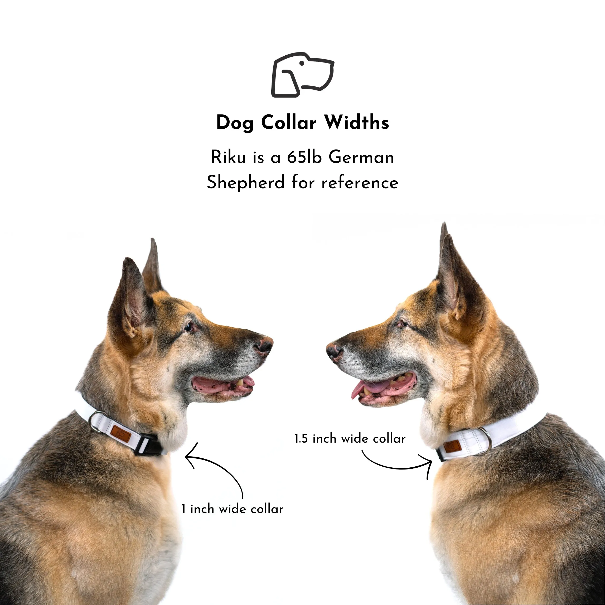 Elements in Green Dog Collar