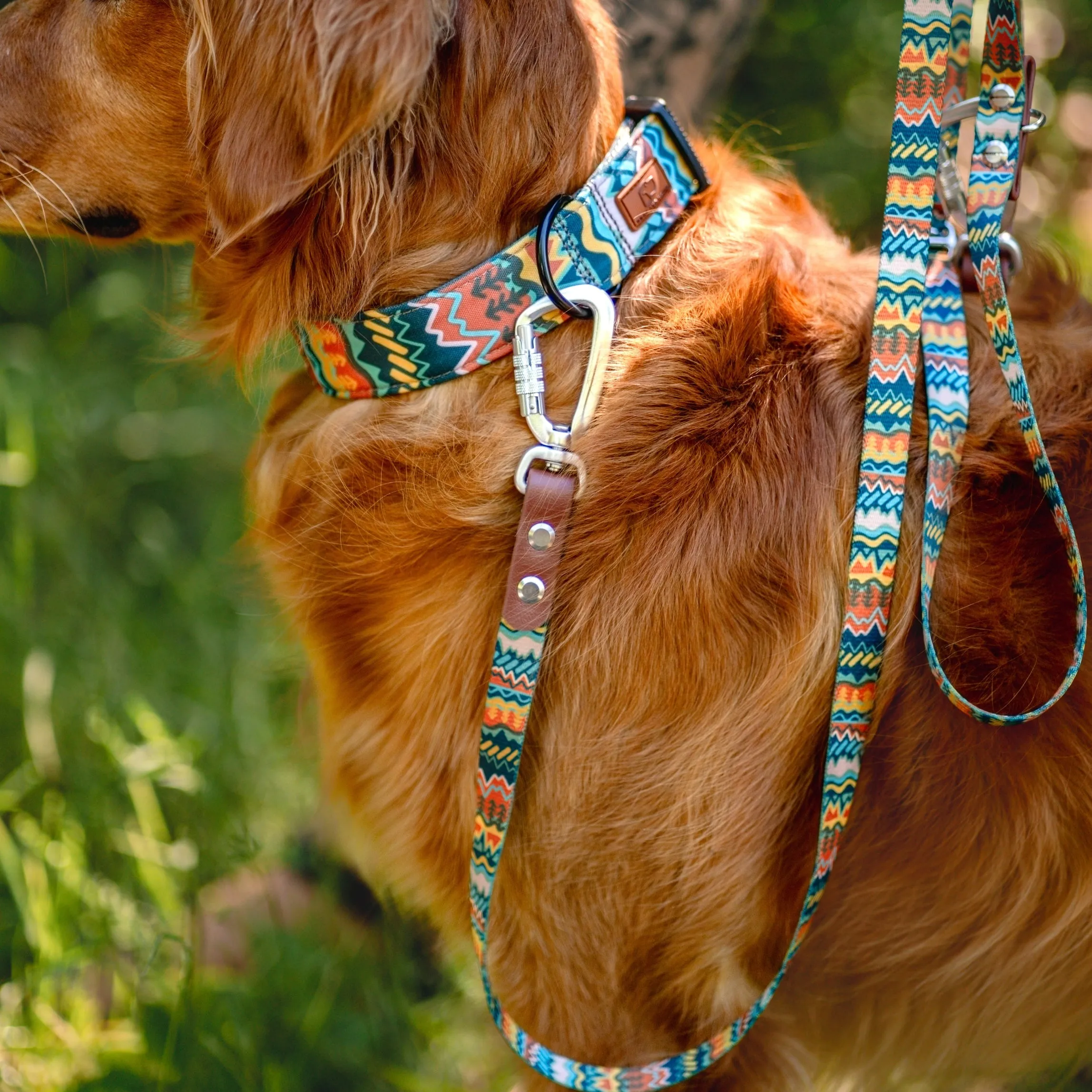 Elements in Green Dog Collar