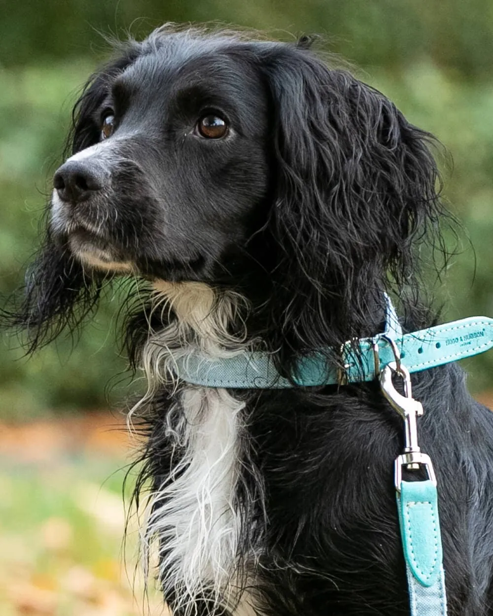 Fabric and Suede Leather Dog Collar - Light Blue