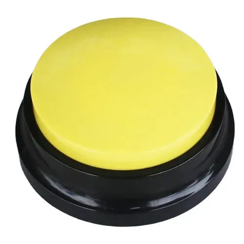 Funny Dog Recordable Pet Toys