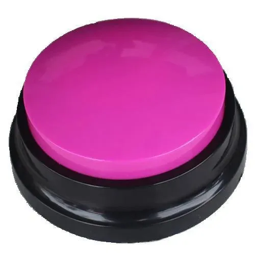 Funny Dog Recordable Pet Toys