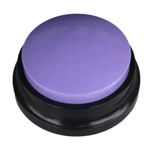 Funny Dog Recordable Pet Toys