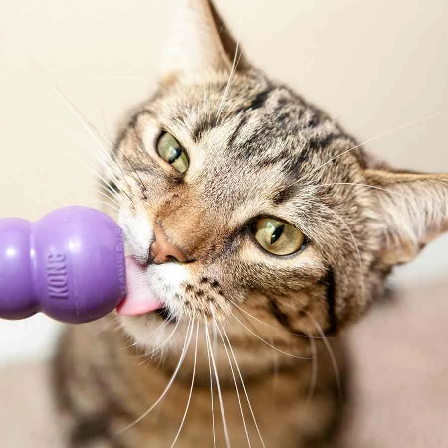 KONG cat toys- Kitty Kong