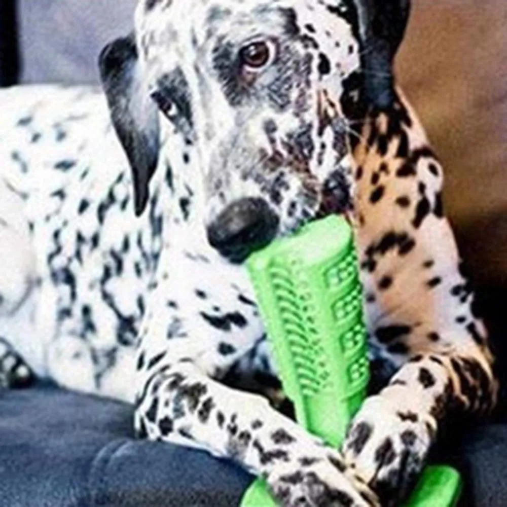 Magic Dog Toothbrush