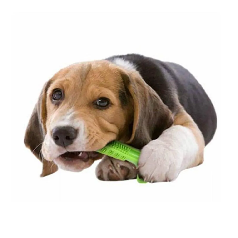 Magic Dog Toothbrush
