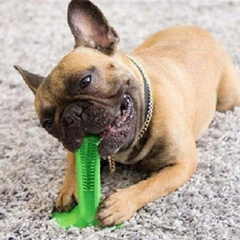 Magic Dog Toothbrush