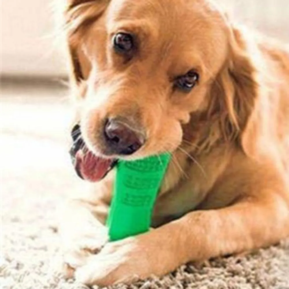 Magic Dog Toothbrush