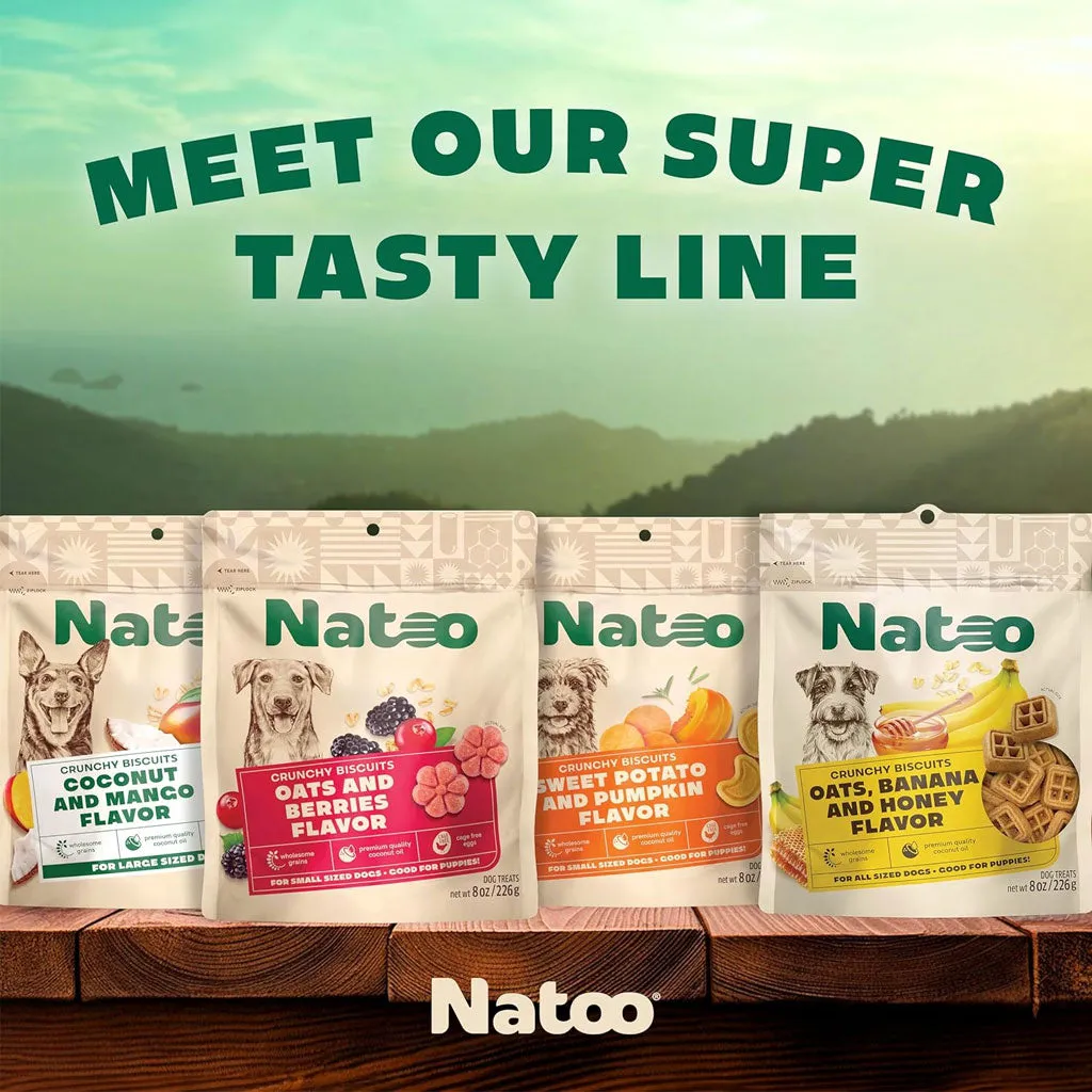 Natoo Crunchy Biscuits Big Bite Coconut & Mango Flavor Dog Treats,  8-oz