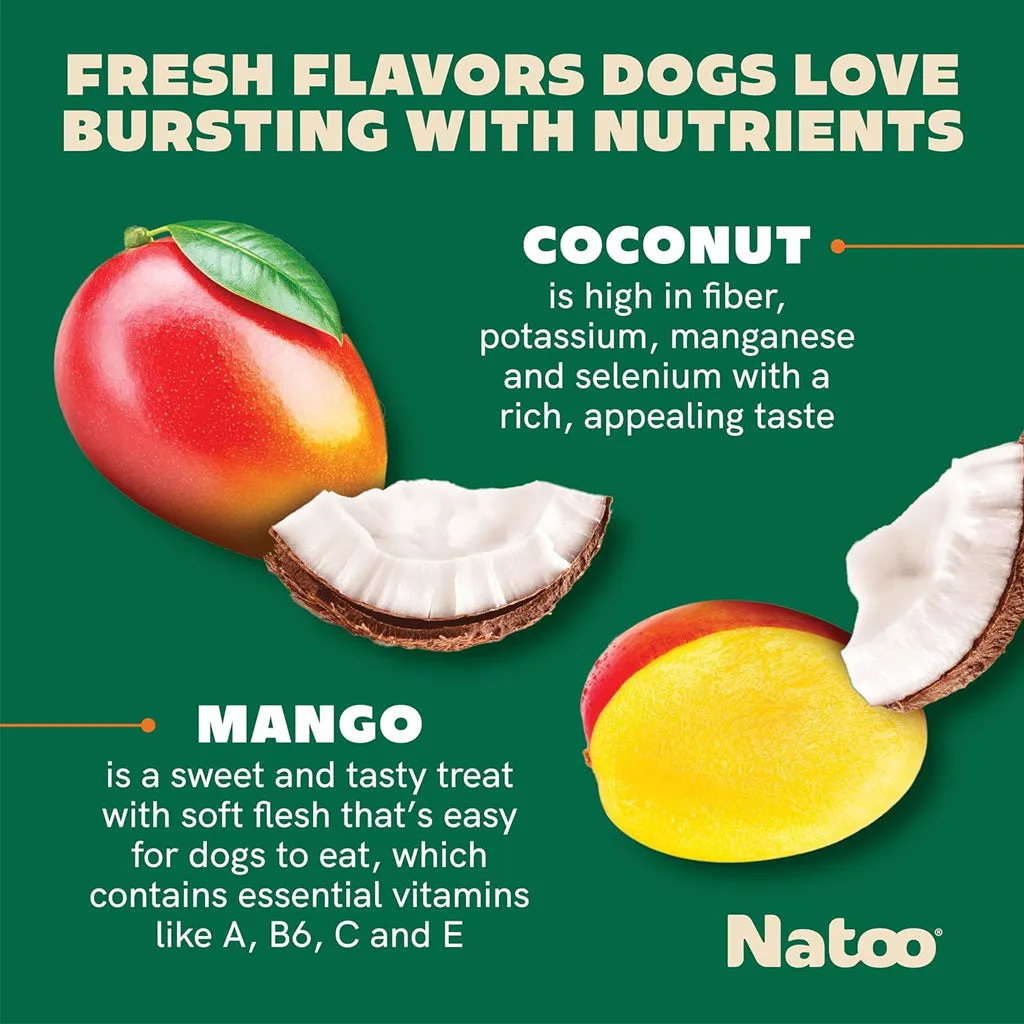 Natoo Crunchy Biscuits Big Bite Coconut & Mango Flavor Dog Treats,  8-oz
