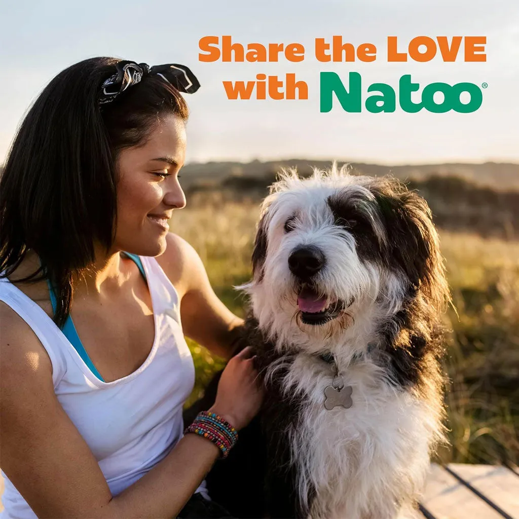 Natoo Crunchy Biscuits Big Bite Coconut & Mango Flavor Dog Treats,  8-oz