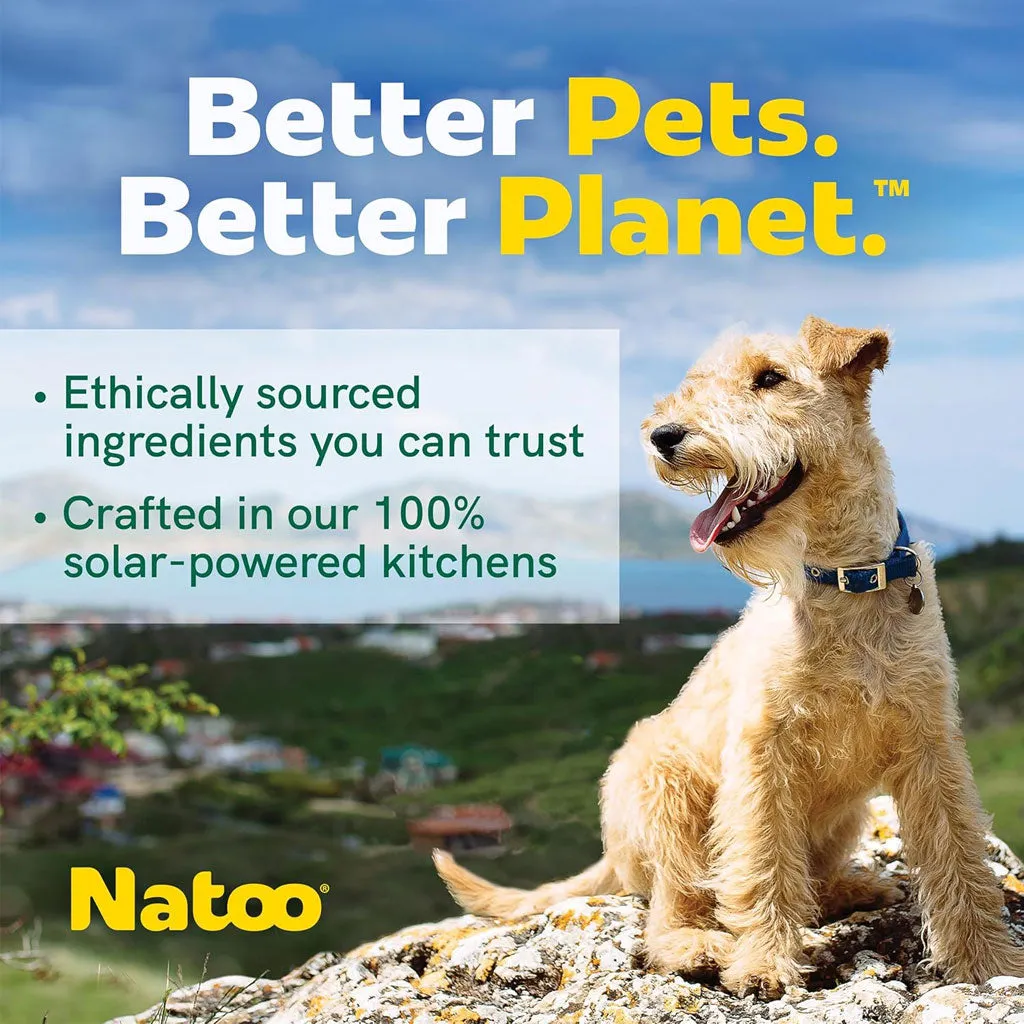 Natoo Crunchy Biscuits Big Bite Coconut & Mango Flavor Dog Treats,  8-oz