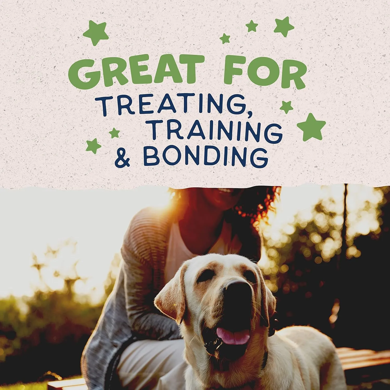 Natural Balance Rewards Crunchy Biscuits with Peanut Butter Dog Treats, 14-oz