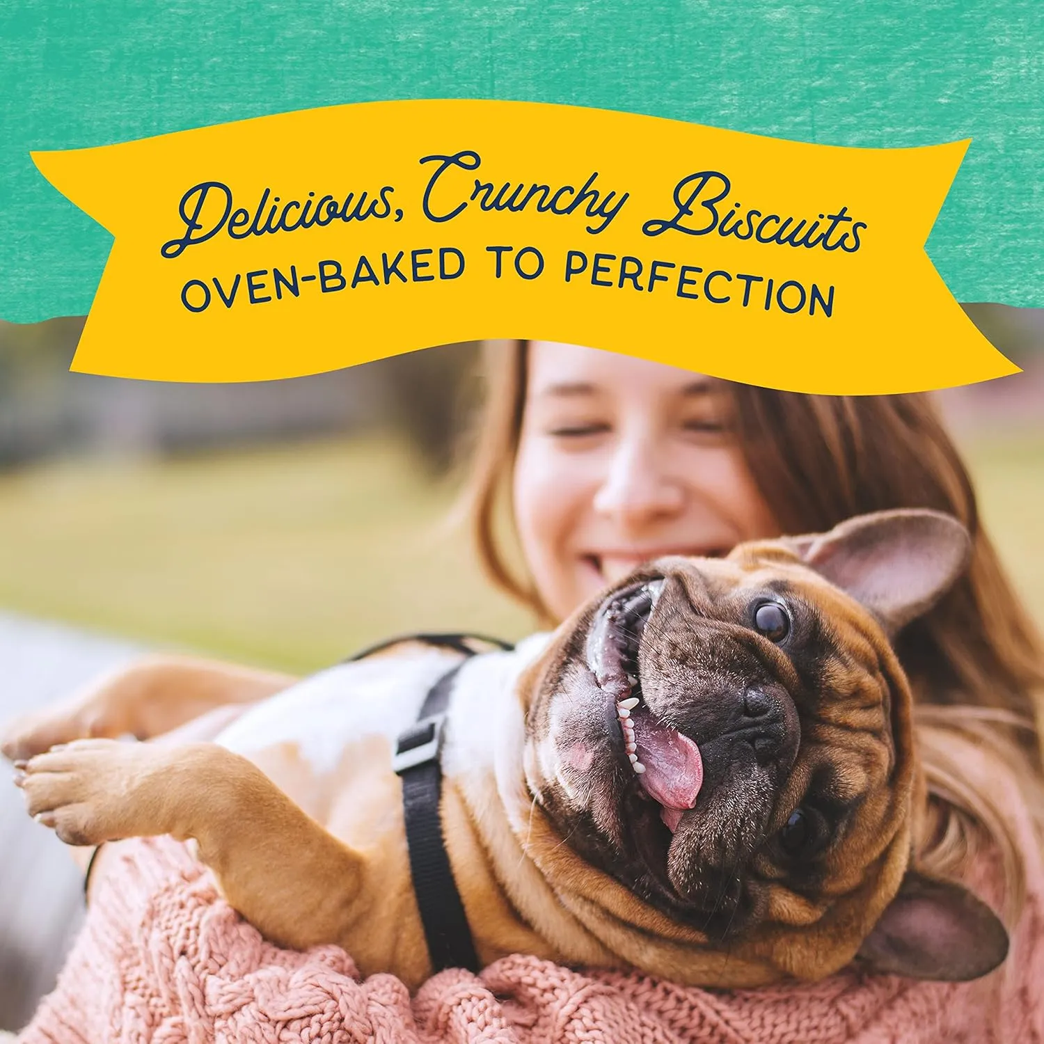 Natural Balance Rewards Crunchy Biscuits with Real Chicken Dog Treats, 14-oz