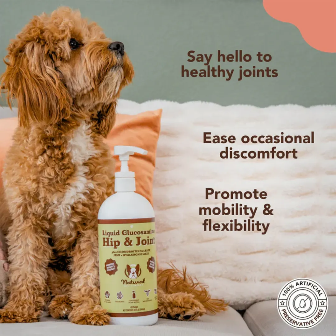 Natural Dog Company Liquid Glucosamine - Hip & Joint