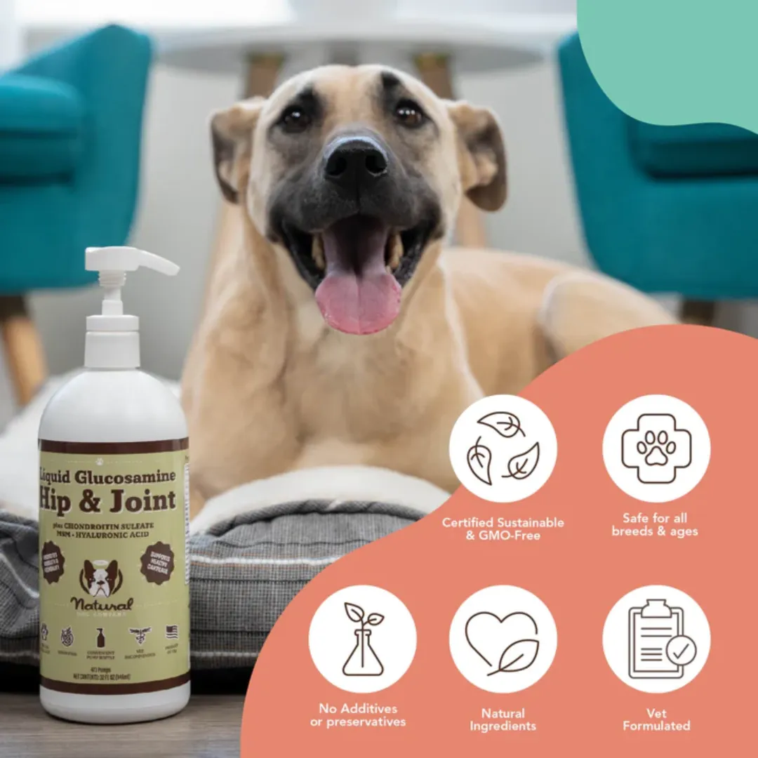 Natural Dog Company Liquid Glucosamine - Hip & Joint