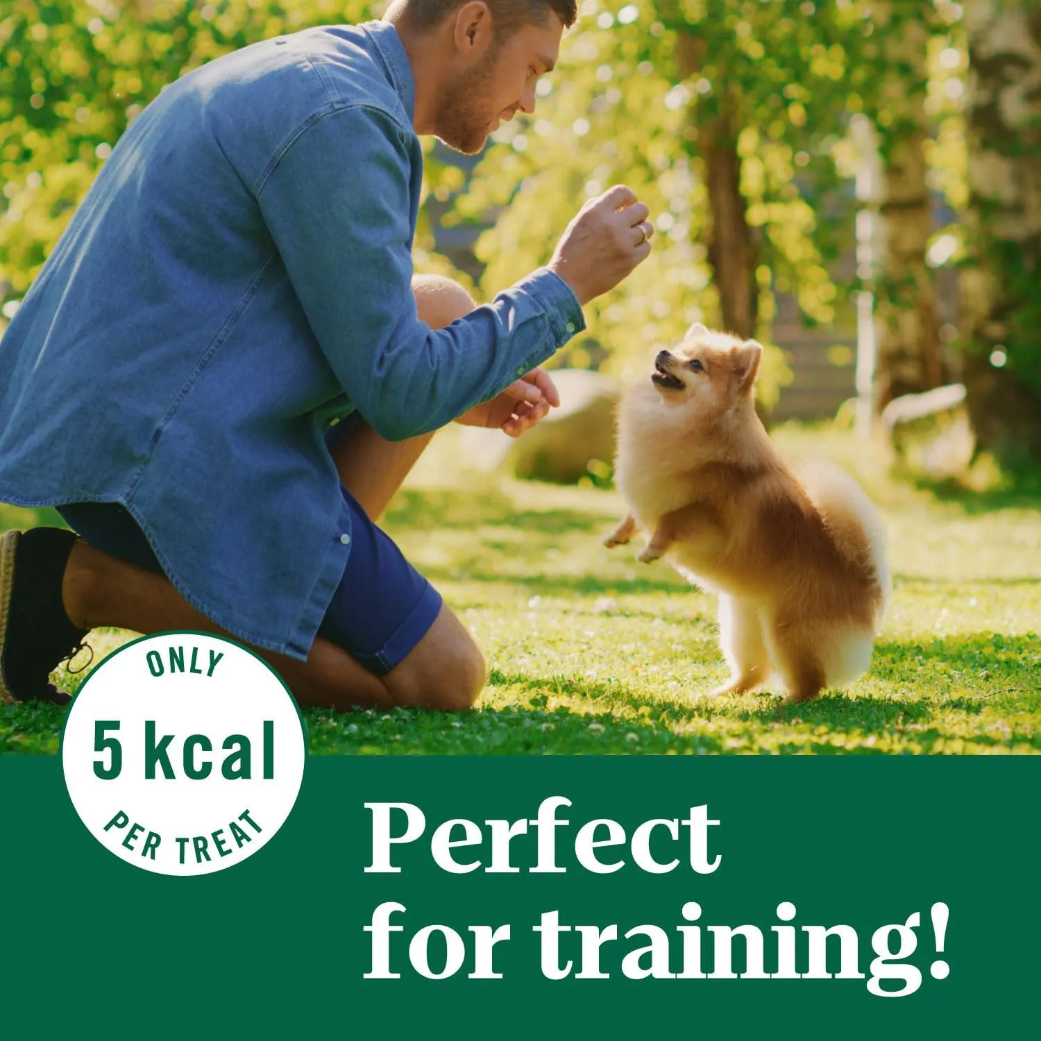 Nutro Crunchy Treats With Real Peanut Butter, Dog Treat