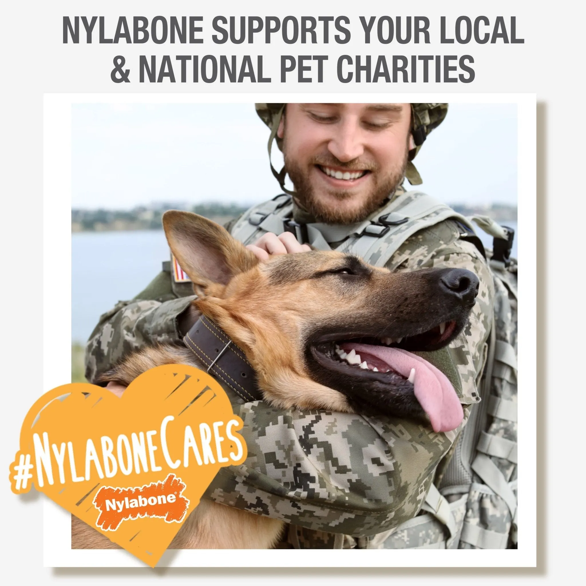 Nylabone Dura Chew Double Bone