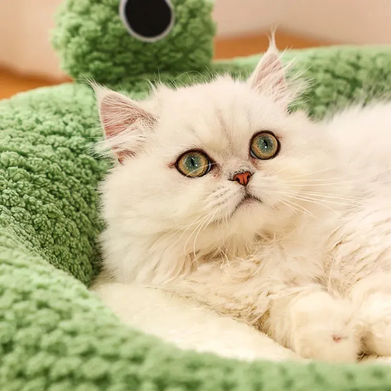 Pat and Pet Emporium | Pet Beds | Cartoon Frog Cat Dog House