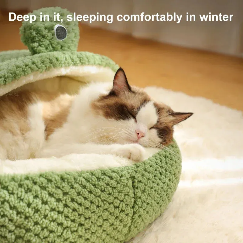 Pat and Pet Emporium | Pet Beds | Cartoon Frog Cat Dog House